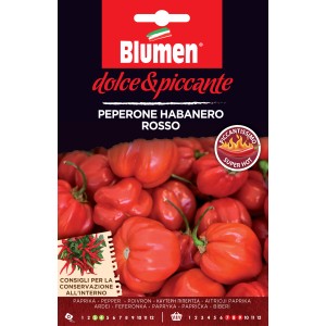 Graines de piment Habanero Rosso : Piments rouges en forme de lanterne, adaptés au jardin et au pot.