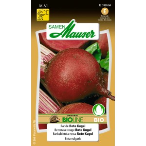 Sachet de graines de betterave rouge ronde, pour le jardin.