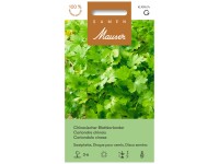 Saatplatte Chinesischer Blattkoriander