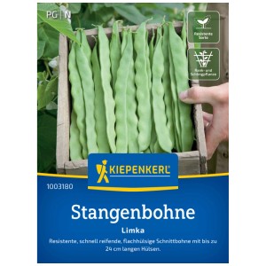Semi di fagiolino rampicante Kiepenkerl Limka: Fagioli lunghi e verdi in scatola di legno, resistenti e aromatici.