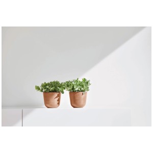 Deux pots de fleurs Ecopots Oslo Mini Terra avec des plantes vertes sur une étagère blanche.