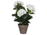 Mica Decorations Kunstpflanze Hortensie Weiss Topf Ø 35 cm / Höhe 40 cm