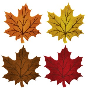 Set di 4 sottobicchieri in feltro a forma di foglia d'acero, colori assortiti.