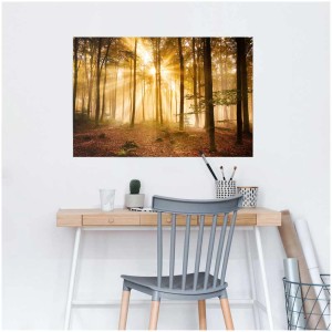 Maxiposter mit Waldmotiv: Sonnenstrahlen durchbrechen den nebligen Wald. Natur-Poster für Ihr Zuhause.