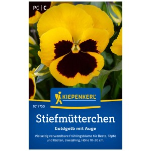 Pensée Kiepenkerl Jaune d'or à œil foncé, gros plan de la fleur.