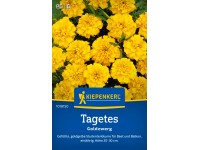 Kiepenkerl Studentenblume Goldzwerg Gelb Kiepenkerl Studentenblume Goldzwerg Gelb