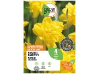 GROW by OBI Narzisse Golden Ducat Gelb 45 cm / 4 Stk.