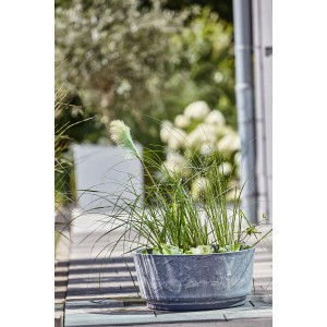 Giardino acquatico solare Heissner Aquatopia con piante come decorazione per laghetti.