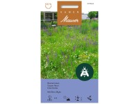 Blumenrasen Miniflora Myko Blumenrasen Miniflora Myko