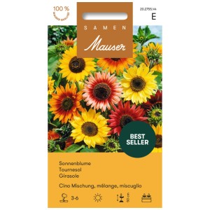 Graines de tournesol Cino Mix : Tournesols compacts et bas de différentes couleurs.