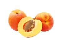 Mini-Aprikosenbaum Aprigold