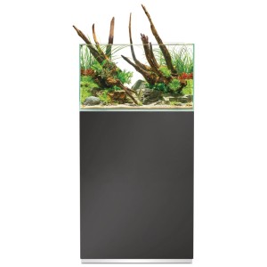 Oase Aquarium-Set Scaperline 60 Gris avec meuble, planté et décoré.