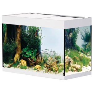 Oase Aquarium Styleline 175, 160 l, combinaison aquarium blanc avec plantes et poissons.
