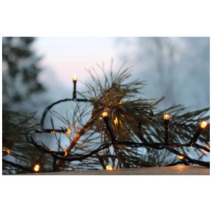 Catena luminosa LED Star Trading con 40 LED bianco caldo dorato su un ramo di abete.