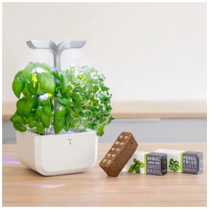 Véritable Exky Smart Jardin d'intérieur pour herbes aromatiques en blanc arctique avec basilic et persil.