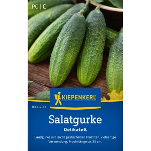 Graines de concombres Delikateß Kiepenkerl, concombres verts de taille moyenne sur bois.