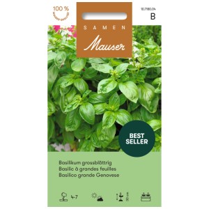 Bustina di semi di basilico a foglia grande: Pianta aromatica con foglie verdi.