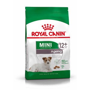 Royal Canin Mini Ageing 12+ alimento secco per cani anziani di piccola taglia in sacco da 1,5 kg.