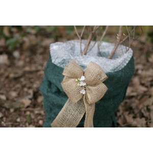 Albero in vaso con nastro di iuta naturale Videx per protezione invernale e decorazione.