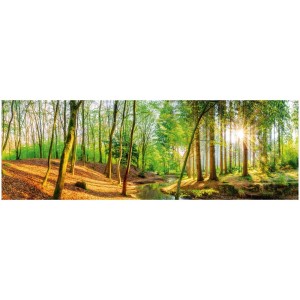 Pannello decorativo Reinders Spring Woods: Quadro da parete con foresta, raggi di sole e ruscello.