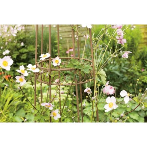 Kit de liens pour plantes 71 pièces pour fixer les plantes dans le jardin.