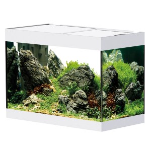 Aquarium Oase StyleLine 125 blanc avec plantes et pierres.