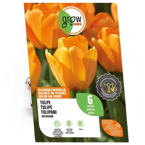 Bulbi di tulipano GROW by OBI Daydream arancione, 6 pezzi, 45 cm. Fiori arancioni vivaci sulla confezione.