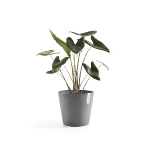 Vaso per piante grigio Ecopots Amsterdam, Ø 40 cm, con pianta verde. Ideale per interni ed esterni.