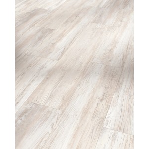 Parador Vinylboden Basic 5.3 Pinie Skandinavisch Weiß in Holzoptik