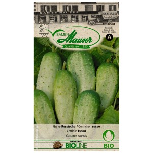 Paquet de graines de concombre russe : concombres ovales vert clair sur l'emballage.