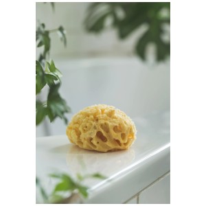 Spugna gialla Rotho del Mediterraneo su superficie bianca. Spugna da bagno naturale per una pulizia delicata.