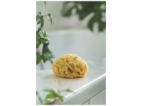 Rotho Mittelmeerschwamm