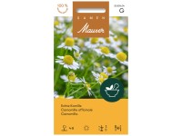 Echte Kamille Echte Kamille