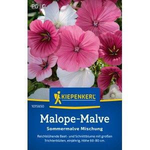 Mélange de mauve d'été Kiepenkerl Malope-Malve avec des fleurs roses, violettes et blanches.