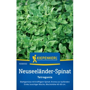 Graines d'épinards de Nouvelle-Zélande Kiepenkerl, légume-feuille au goût d'épinard.