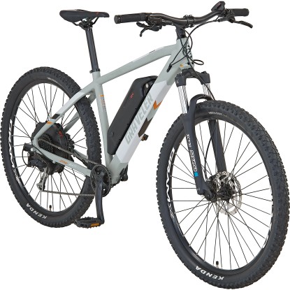 Prophete E-Mountainbike Graveler 22.EMM.20 Grau matt 9-Gang / 29"