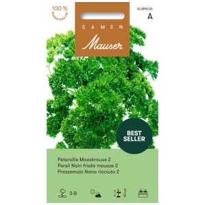Sachet de graines de persil frisé mousse, herbe aromatique traditionnelle pour le jardin.