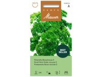 Petersilie Mooskrause