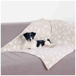 Couverture pour chien beige Trixie Kenny (75x50 cm) avec motif d'os et d'empreintes de pattes, avec un chien allongé dessus.