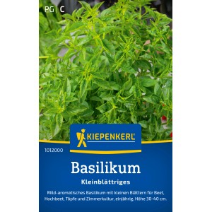 Basilic à petites feuilles Kiepenkerl, annuel. Graines d'herbes aromatiques pour plates-bandes, pots et balcons.