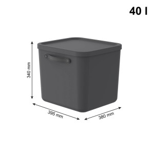 Rotho Mythen Aufbewahrungsbox 40 l in Charcoal Schwarz mit Deckel und Griff. Maße: 340x395x380 mm.