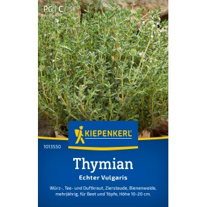 Kiepenkerl Timo Comune Vulgaris, erba aromatica da cucina per aiuole e vasi.