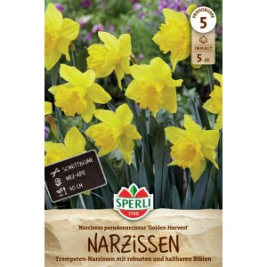 Sperli Trompeten Narzisse Golden Harvest Blumenzwiebeln, goldgelbe Blüten.