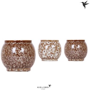 Pots en céramique Safari, assortis, Ø 12cm, 1 pièce. Cache-pots décoratifs pour orchidées et autres plantes d'intérieur.