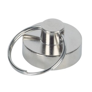 Fix-o-moll Portachiavi magnetico al neodimio, Ø 20mm, argento, confezione da 2. Utile accessorio per la casa.