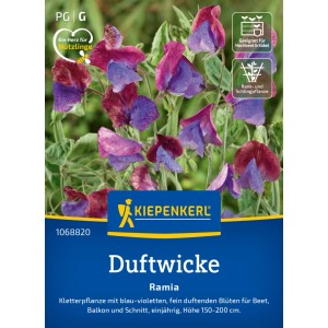 Graines de pois de senteur Kiepenkerl Ramia avec fleurs bleu-violet pour massifs et balcons.