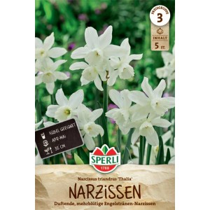 Verpackung der Sperli Engelstränen-Narzisse Thalia mit weißen Blüten.