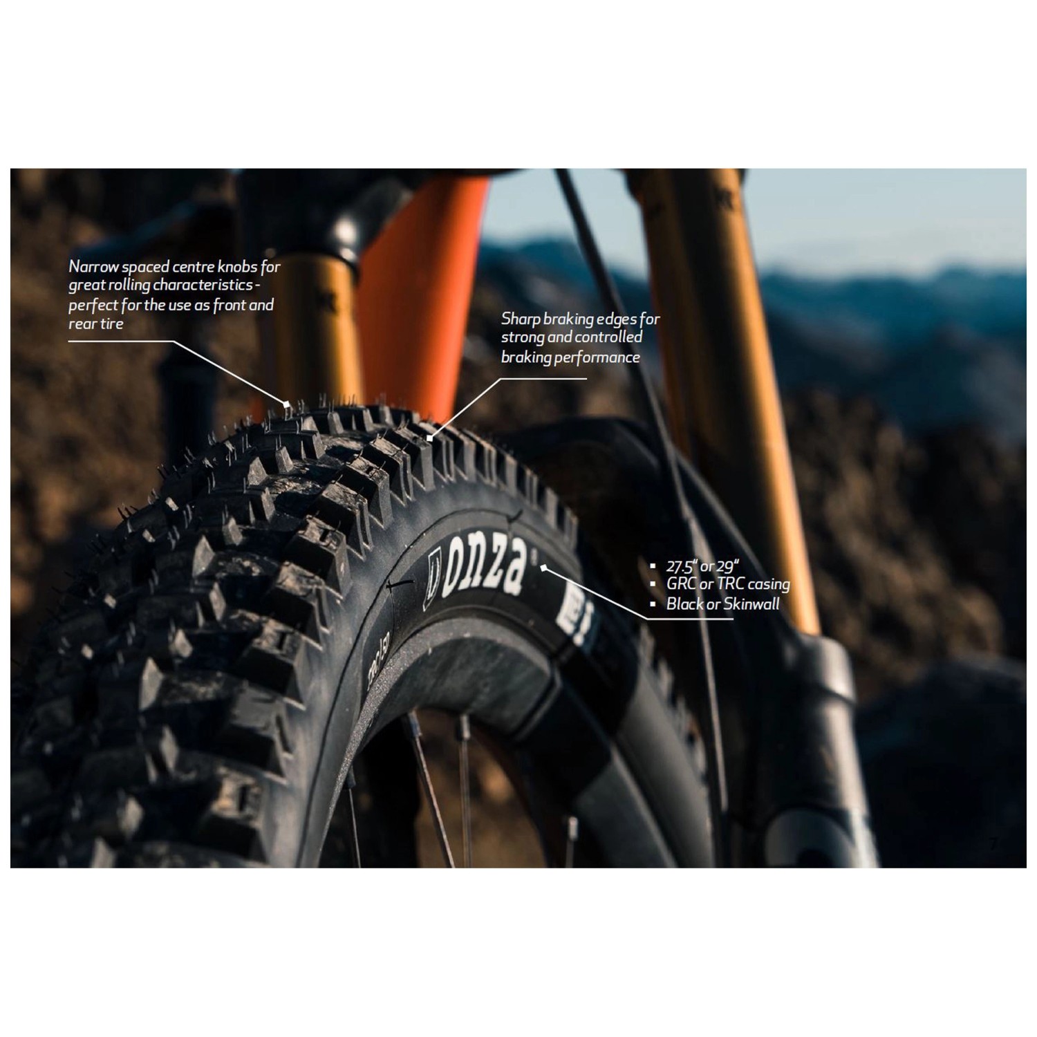 Onza Reifen Ibex Skinwall Tubeless Ready 29