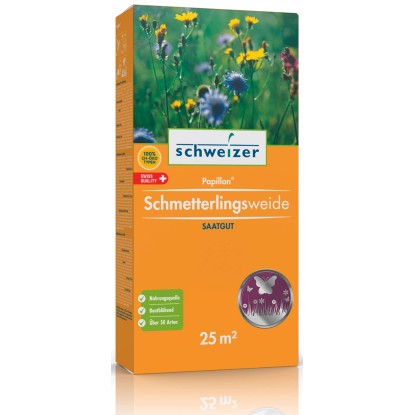 Papillon Schmetterlingsweide