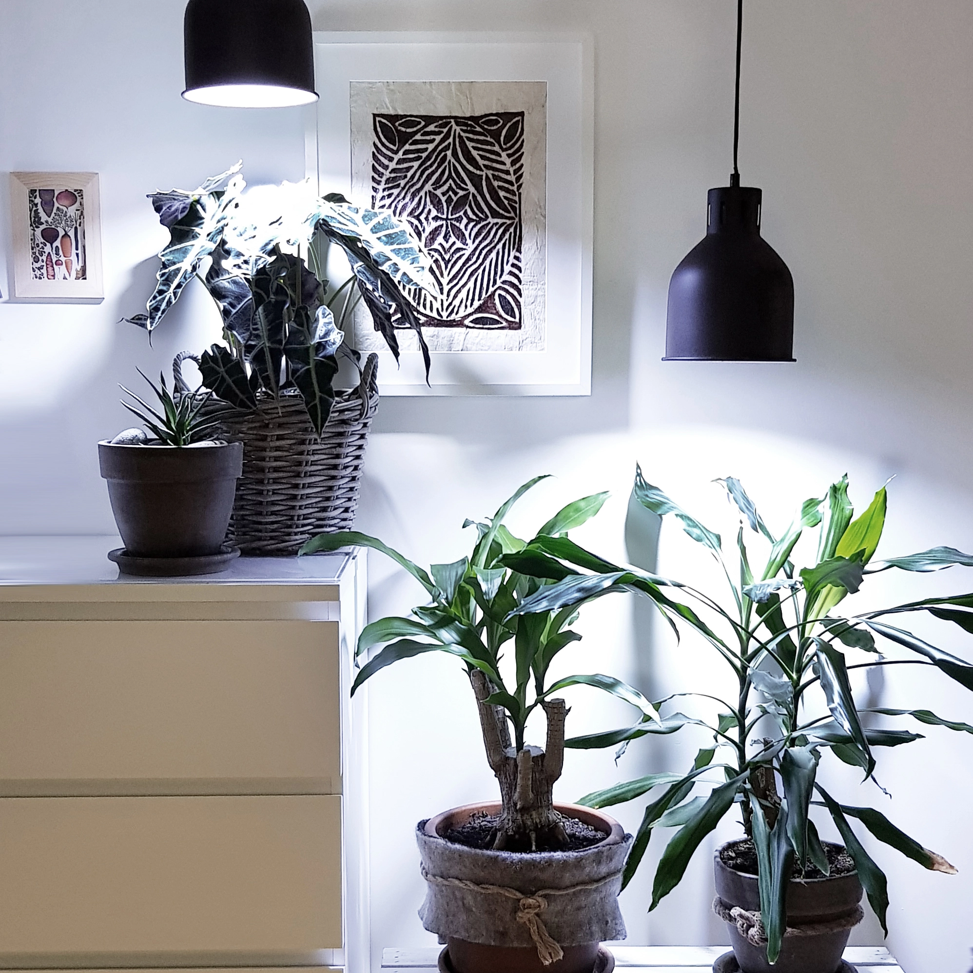 Lampe à poser LED avec abat-jour et plante